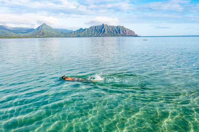 Kaneohe Bay Coral Reef Kayak Tour Review - Recommendations and Alternatives