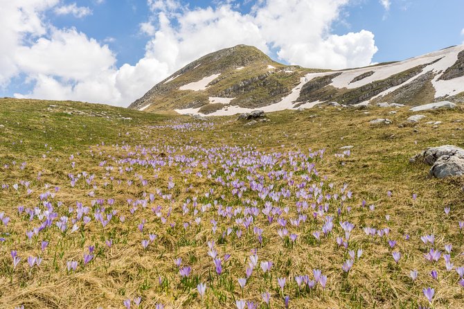 Kapetanovo Lake Hiking - Booking and Pricing Options
