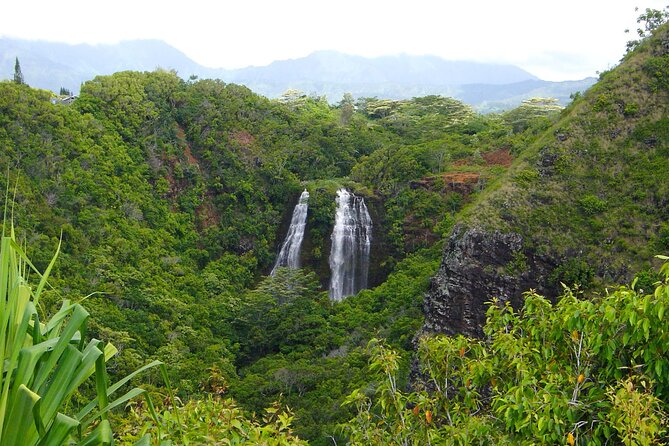 Kauai North Shore Private Guided Tour With Hotel or Port Pick-Up - Benefits of Private Tours