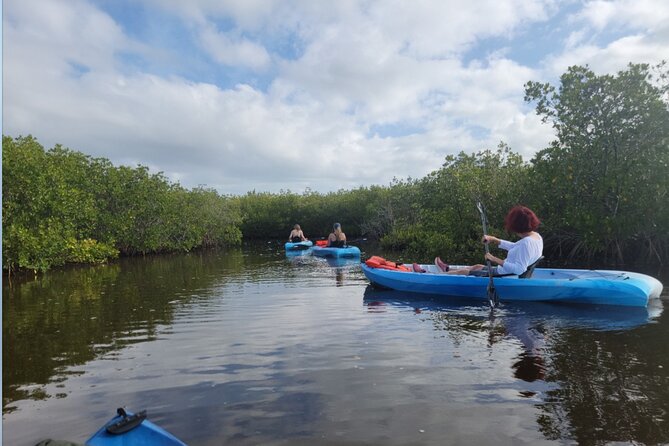 Kayak Rentals - Customer Reviews and Ratings