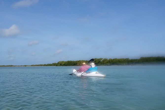 Kayak Through Mangroves to Secret Beach - Booking Details