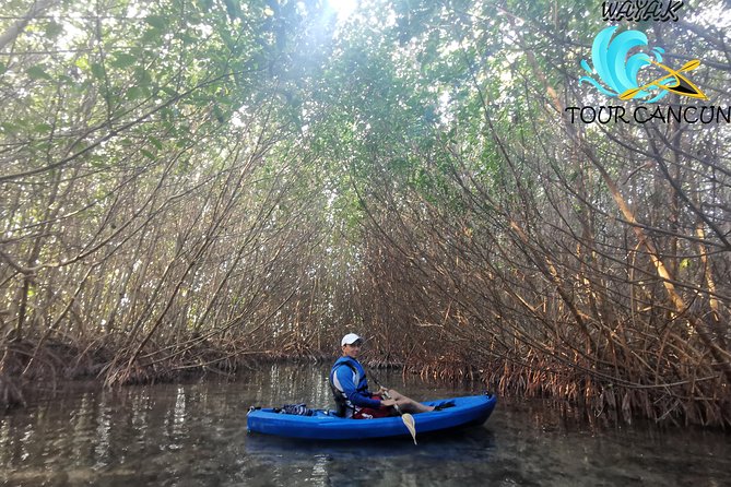 Kayak Tour in Laguna Nichupte Cancun - Customer Feedback