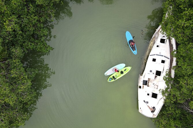 Kayaking Tour in Cancun - Kayak Rental and Options