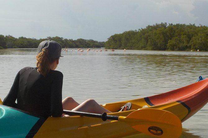 Kayaking Tour Through the Mangroves in Isla Holbox - Professional Guides