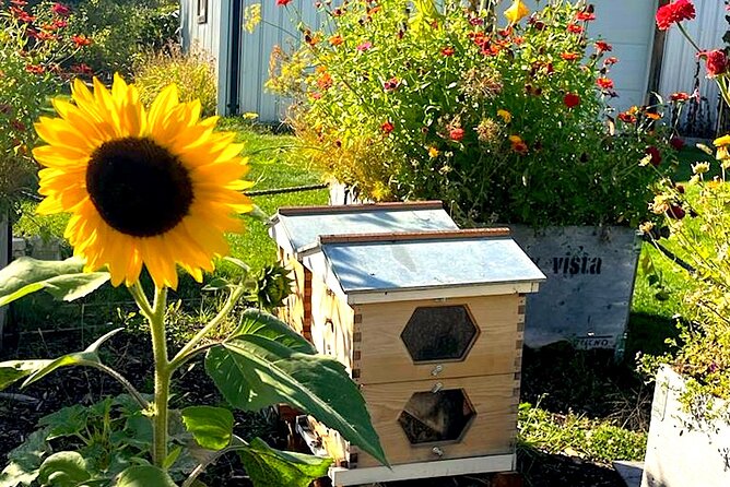 Kelowna E-Bike Bee Tour With Tastings, Lunch & Audio Guide - E-Bike Specifications