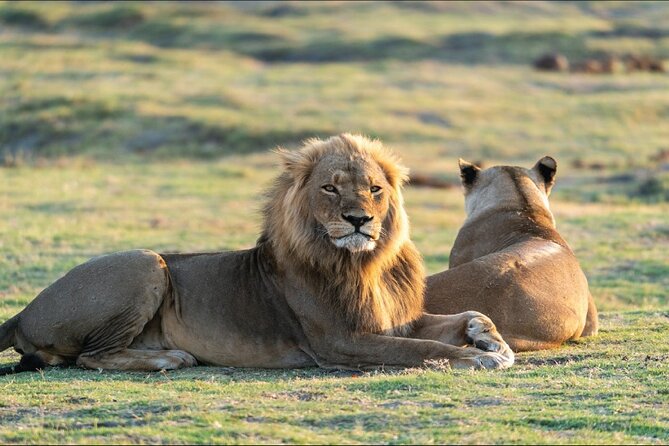 Kenya Safari - Pricing Details