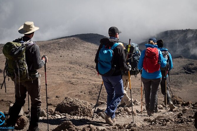 Kilimanjaro Private 2 Days Hiking Tour - Private Tour Experience