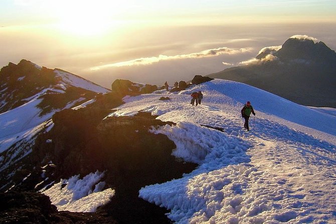 Kilimanjaro Summit Challenge: 6 Days via Marangu Route - Important Participant Information