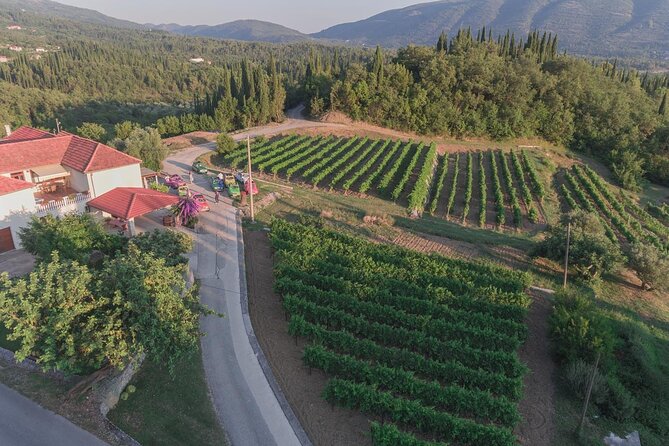 Konavle Tradition & Vines: Brajković Winery Journey - Wine Tasting Experience