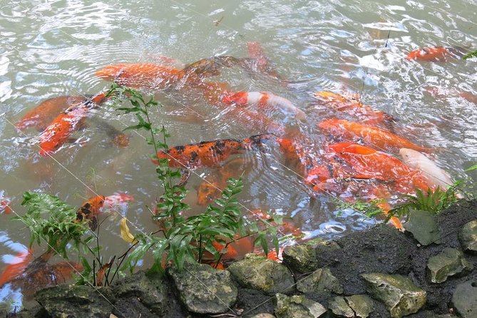 Konoko Garden & Mohoe Falls - Mohoe Falls Experience
