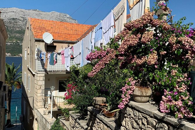 KorčUla Private Tour With Pickup and Dropoff  - Dubrovnik - Traveler Photos