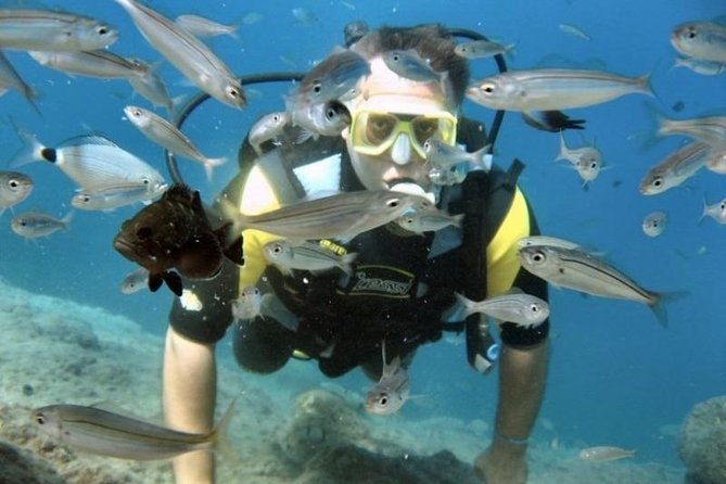 Kusadasi Scuba Diving - Customer Reviews and Feedback