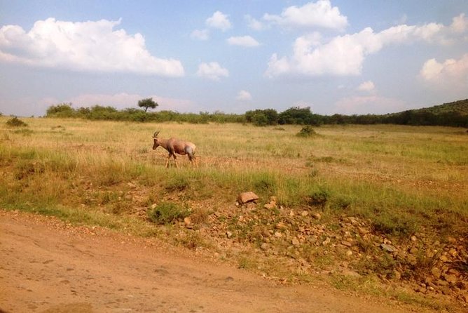 Lake Bogoria Flamingos Tour From Nairobi - Booking Information