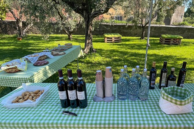Lake Garda Olive Oil Tour and Tasting Experience - The Tasting Experience