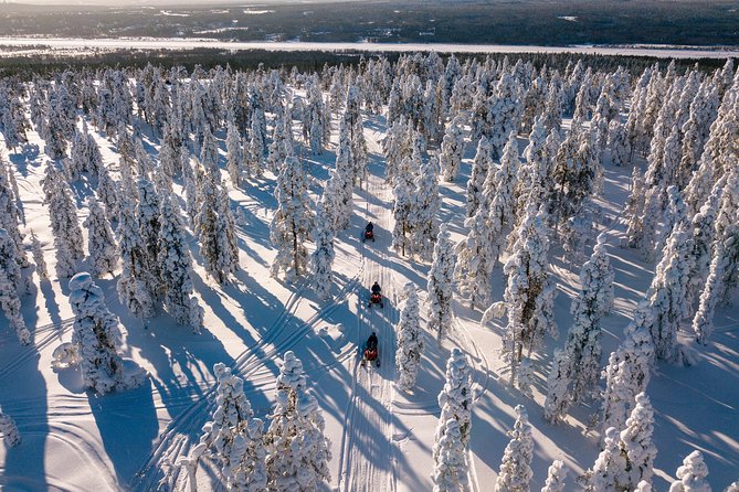 Lapland Family Snowmobile Safari From Levi - Customer Reviews and Insights