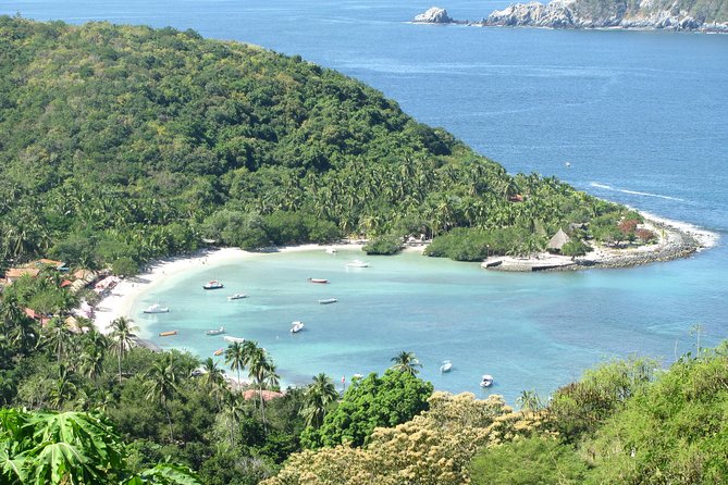 Las Gatas Kayaking and Snorkeling Tour - Dining Experience