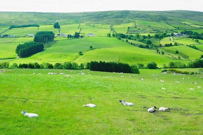 Liberty Irish Tours Dublin City & Wicklow Mountains Luxury Car Shore Excursion - Itinerary and Attractions