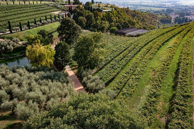 Light Lunch With Blind Tasting - Review Highlights