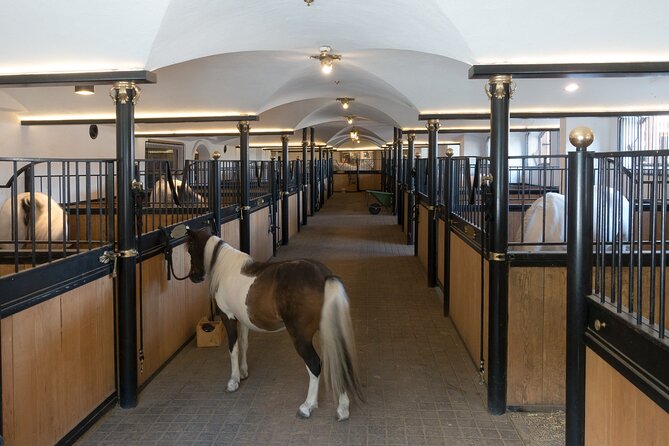 Lipica Stud Farm and Skocjan Caves From Koper - Regional Park Attractions