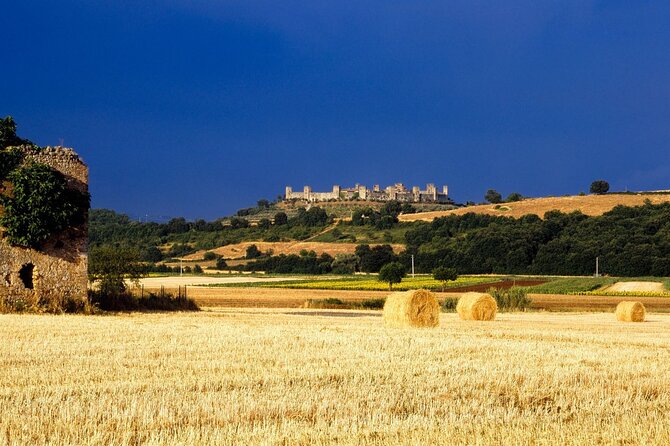 Livorno Port Shore Excursion: Siena San Gimignano Lunch&WineTasting - Important Information