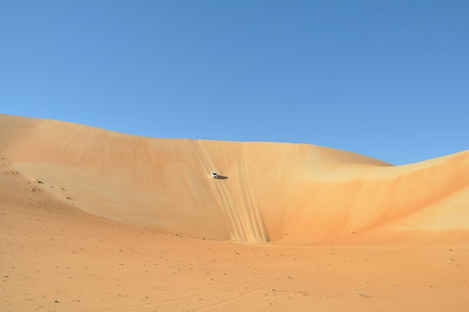 Liwa Full Day Desert Safari (exploring) - Traveler Tips and Recommendations