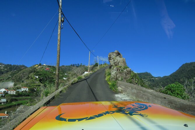 Local Farmers Market and 4WD Experience Review - Thrilling 4WD Experience