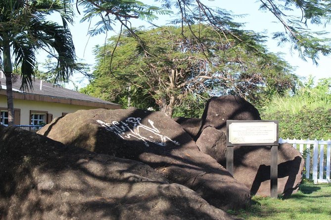 Local Lunch & Half Day Island Tour - Option 2 - Cancellation and Payment