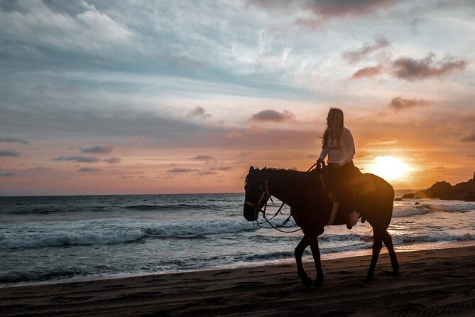 Los Cabos ATV and Pacific Horseback Riding Combo Tour - ATV and Horseback Riding