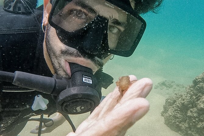 Los Cabos Beginner Scuba Dive Experience - Popularity and Ratings