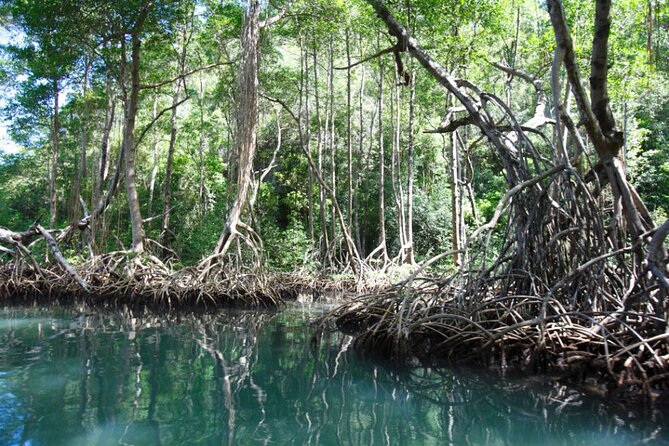 Los Haitises National Park Discovery Tour - Booking and Confirmation