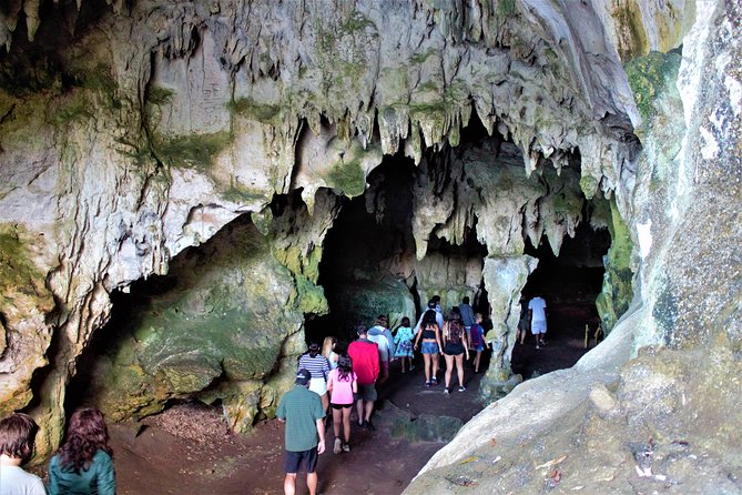Los Haitises National Park With Lunch at Caño Hondo From Samaná Port. - Traveler Reviews and Feedback