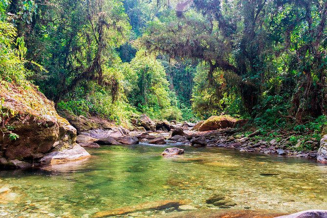 Lost City Trek (Ciudad Perdida) - 4 Days - From Santa Marta or Taganga - Customer Reviews