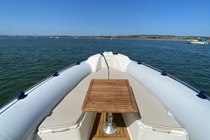 Luxury Private Rib Tour to Babbacombe Bay From Exmouth Marina - Reviews and Customer Feedback