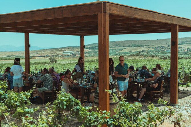 LUXURY PRIVATE Wine Tasting in CRETE (also for CRUISE SHIPS) - Wine Tasting Options
