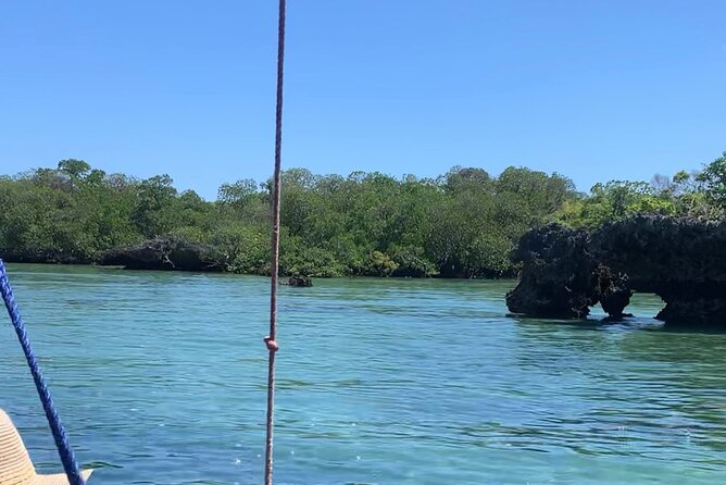 Luxury Swimming With DOLPHINS in MNEMBA and LUNCH - Highlights of the Swimming With Dolphins