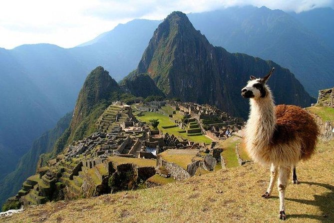 Machu Picchu, Historic Sanctuary by Vistadome Train - Full Day - Final Verdict On This Stay