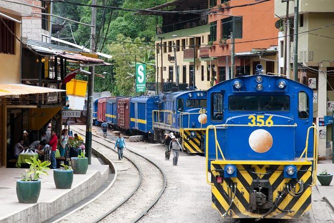 Machu Picchu in One Day (1st Class Panoramic Train Available) - Machu Picchu Highlights