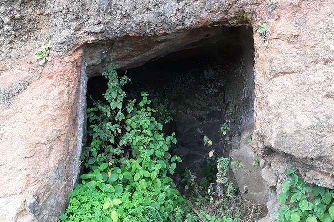 Madeira: Private Guided Levada Do Norte Walk - Explore Levada Do Norte
