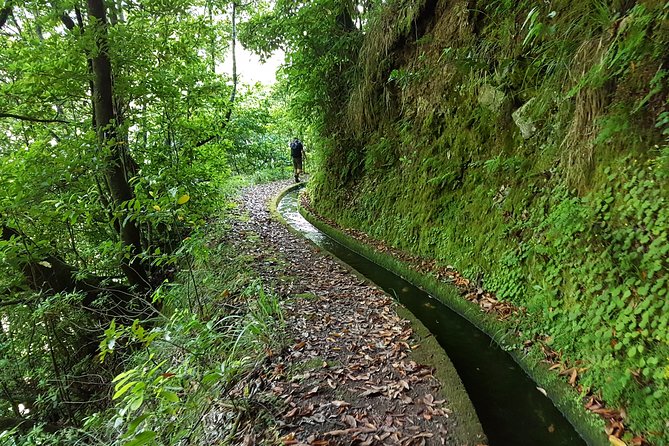 Madeira: Private Guided Levada Dos Tornos Boaventura Hike - Safety Considerations and Precautions