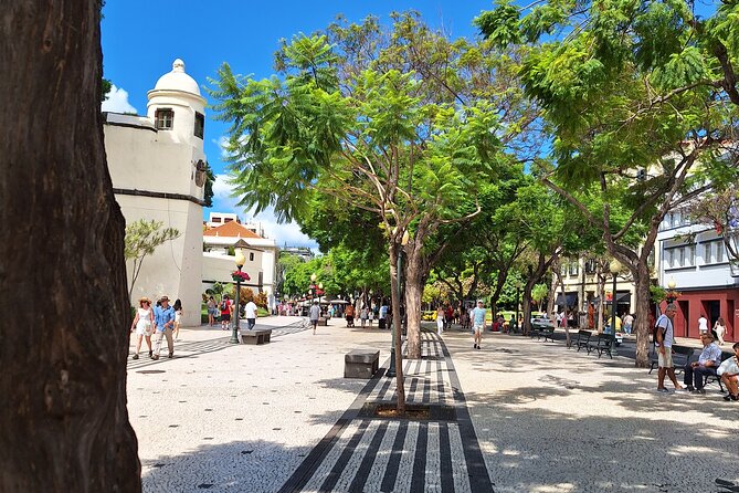 Madeira Wine Tasting and Funchal City Tour - Accessibility and Additional Information