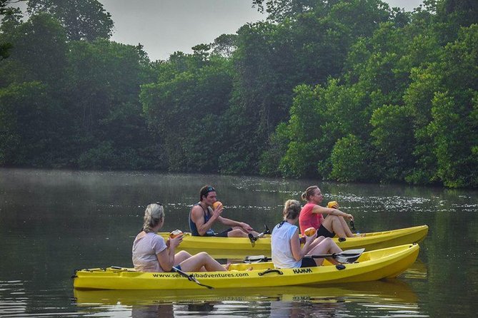 Madu River Sunrise Mangrove Kayaking From Bentota - Pricing and Booking Information