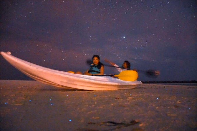 Magic Night of Stargazing and Bioluminescence - Communication and Updates