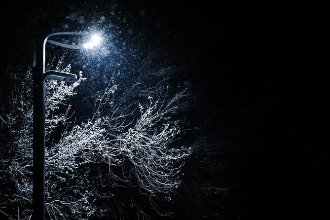 Magical Christmas Tour in Beautiful Reykjavik - Highlights of Reykjaviks Christmas