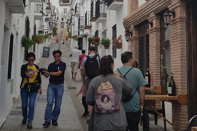Malaga Private Shore Excursion: Malaga Highlights & Mijas White Washed Village - The Sum Up