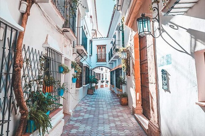 Malaga Private Shore Excursion to Marbella and Puerto Banus - Booking and Confirmation