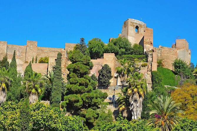 Málaga's Historic Heart: A Cultural Walking Tour - Preparing for Your Cultural Walking Tour