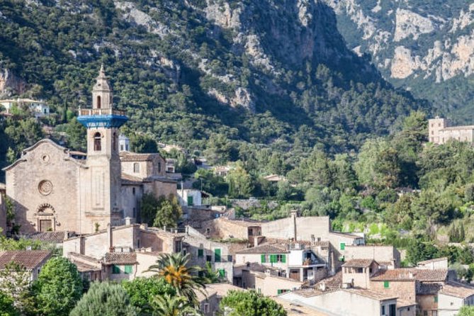 Mallorca Shore Excursion: Exclusive Soller and Valldemosa - Reviews and Feedback
