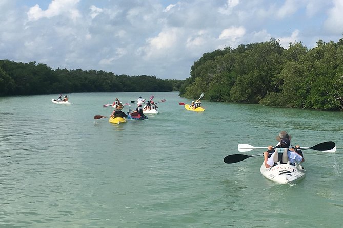 Mangroves Paddling Tour - Preparing for the Tour