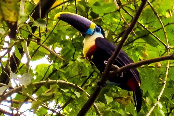 Manu Jungle Tour (3 Days) - Cancellation and Refund Policy