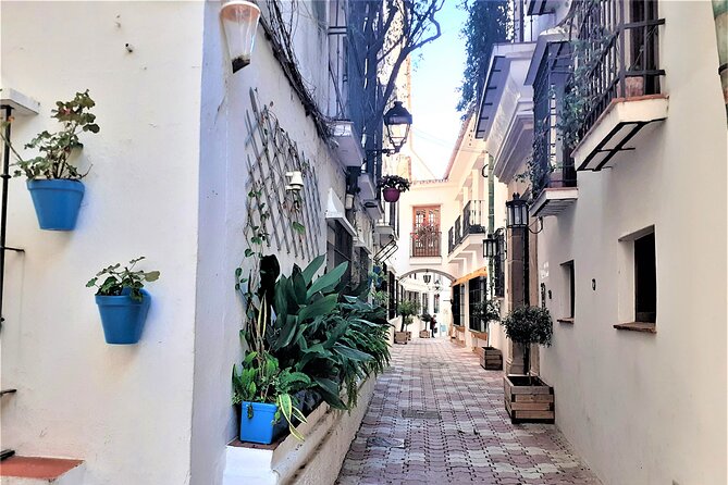 Marbella: Private Walking Tour - Traveler Reviews